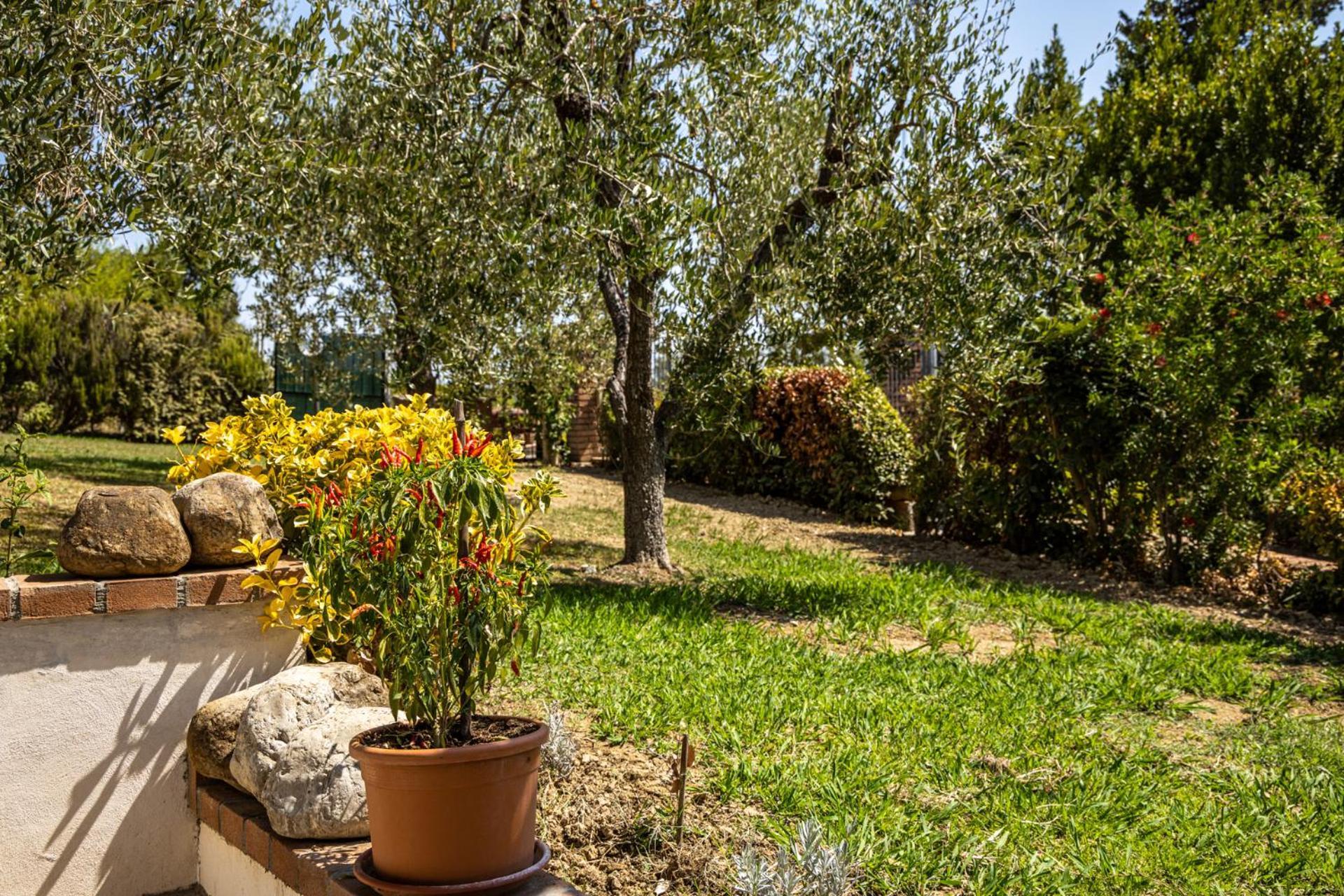 Sole House * Terricciola
