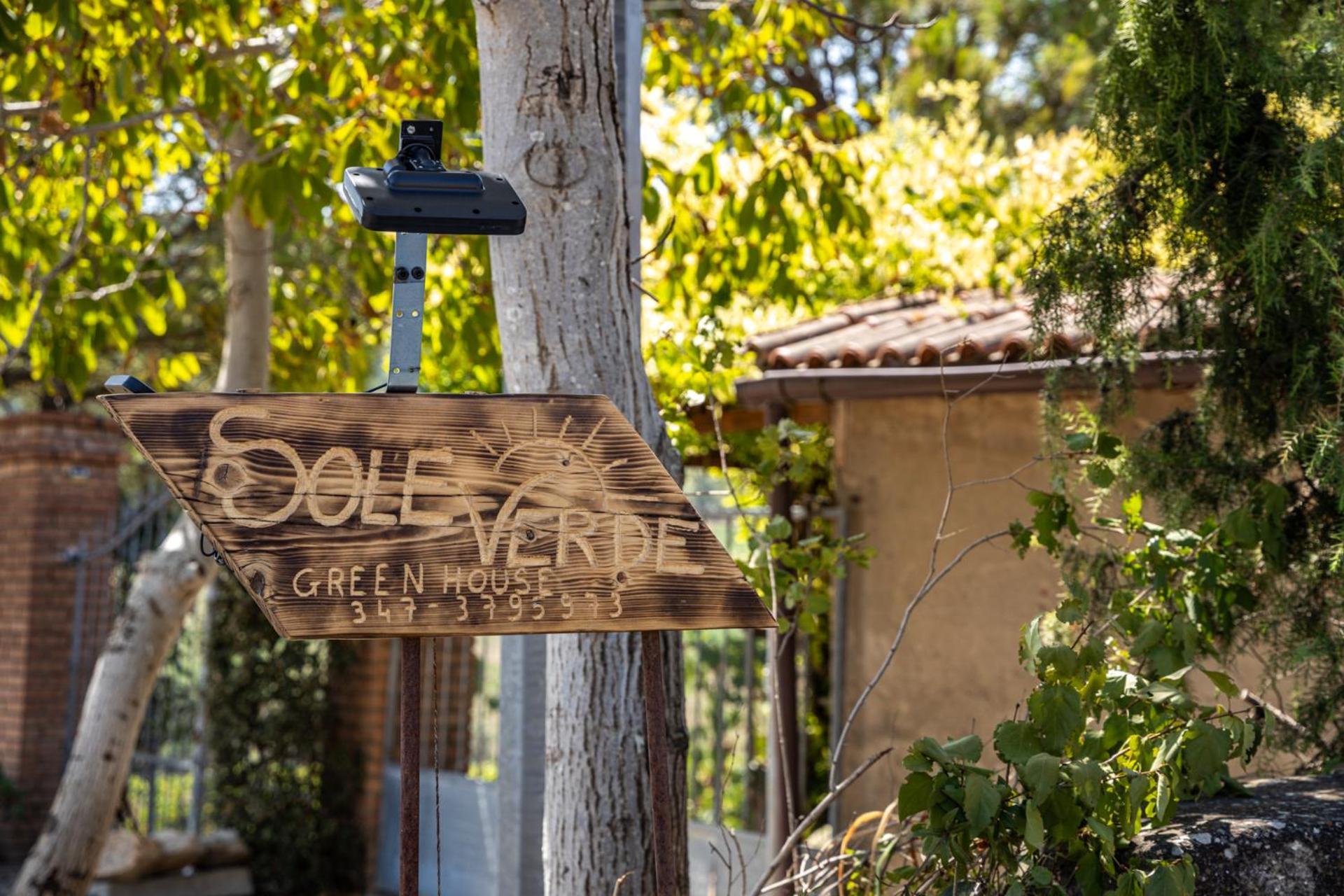 Sole House Terricciola